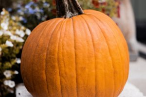 Dreamy Pumpkin Pots